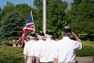 Flag Day 2009 #01